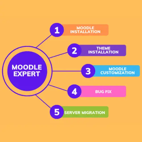 I will install edit, migrate, upgrade, fix error, cms, and customize your moodle